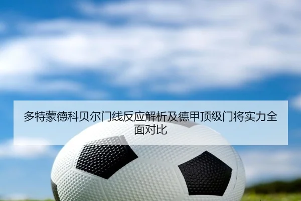 多特蒙德科贝尔门线反应解析及德甲顶级门将实力全面对比
